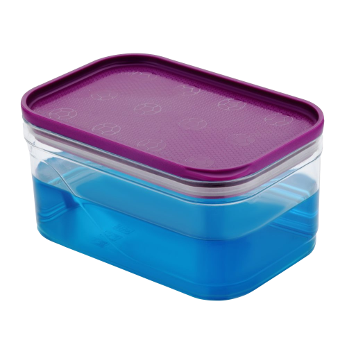 Airtight Containers For Fridge
